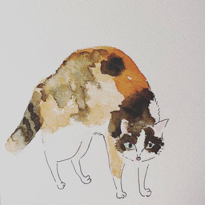 36219831 9864 4220 ba41 3dbb16c433e5 1583665710314