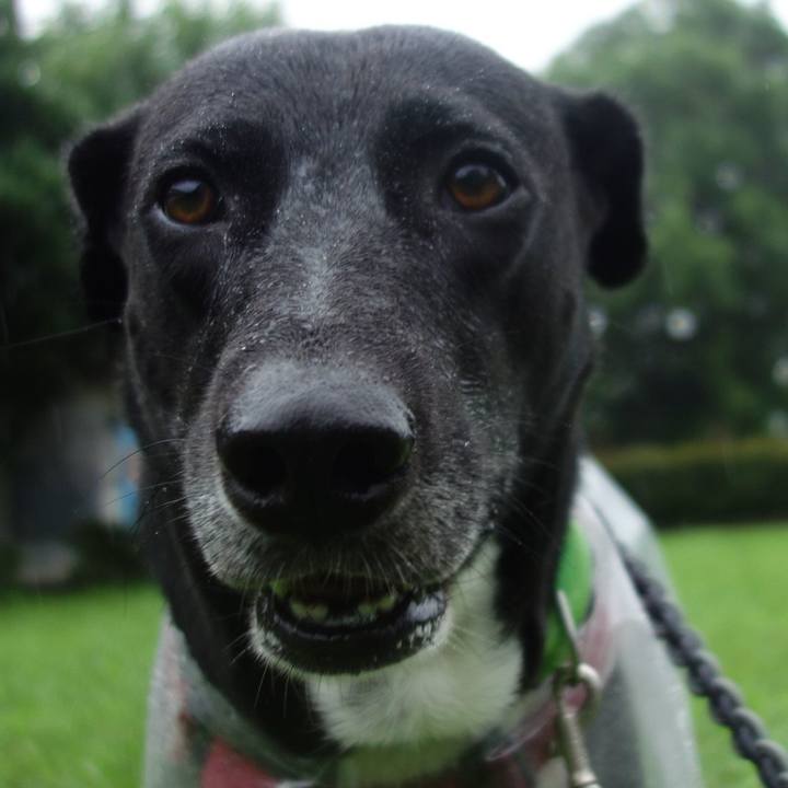 36219bd9 f447 4cd2 928c 730eb16b5728 1625194341704