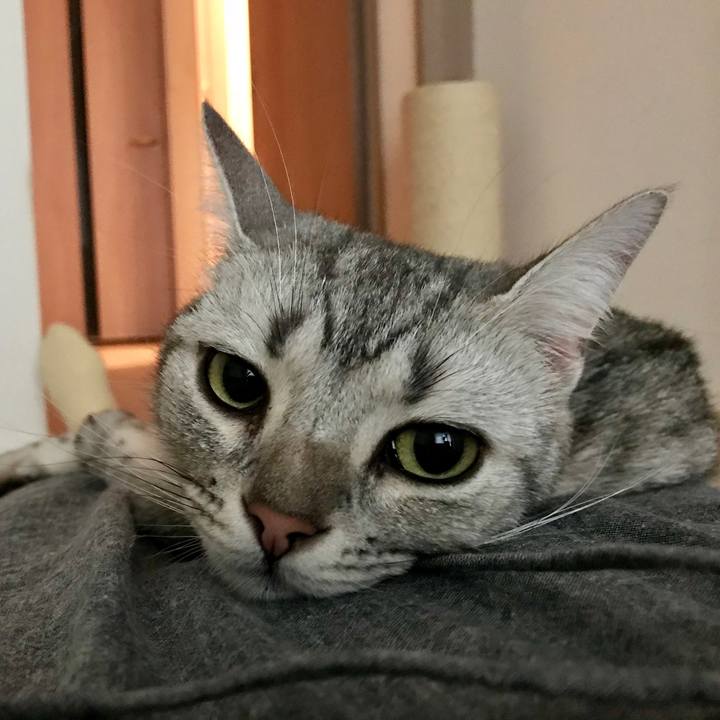 3621c5dd 7689 489e bea7 2578e8db5cdf 1529719521387