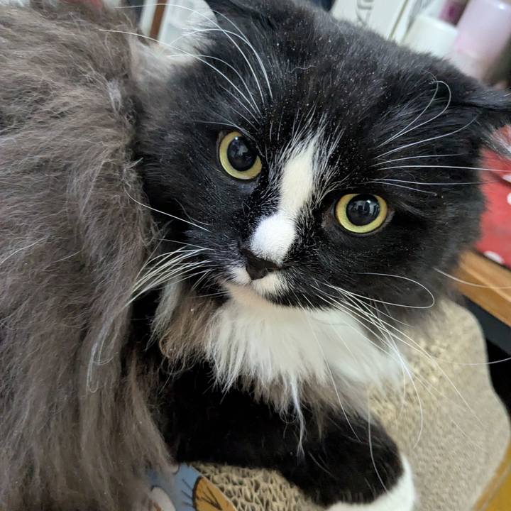 3621d1a8 bfa3 4b35 b513 1b277266b972 1775128822843