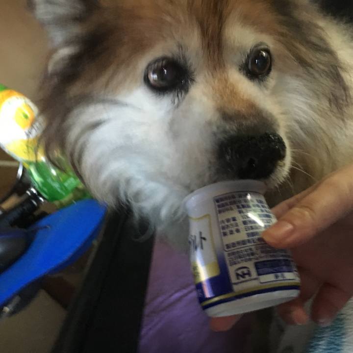 3621d365 da24 4401 9721 63343c55ab54 1616734837726