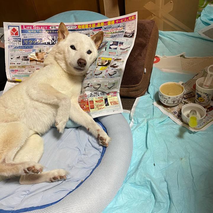 3621d795 8150 4d01 bbc3 f97335891984 1656506629760