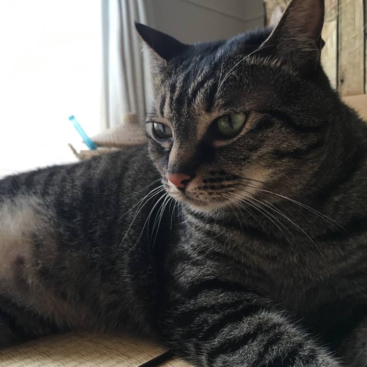 3621e797 42b6 419b a9dd 5758212aae25 1589330230638