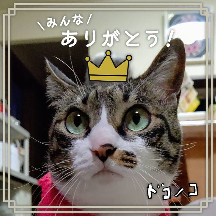 3621f793 080e 4295 8695 c77abe7b0723 1622875146980