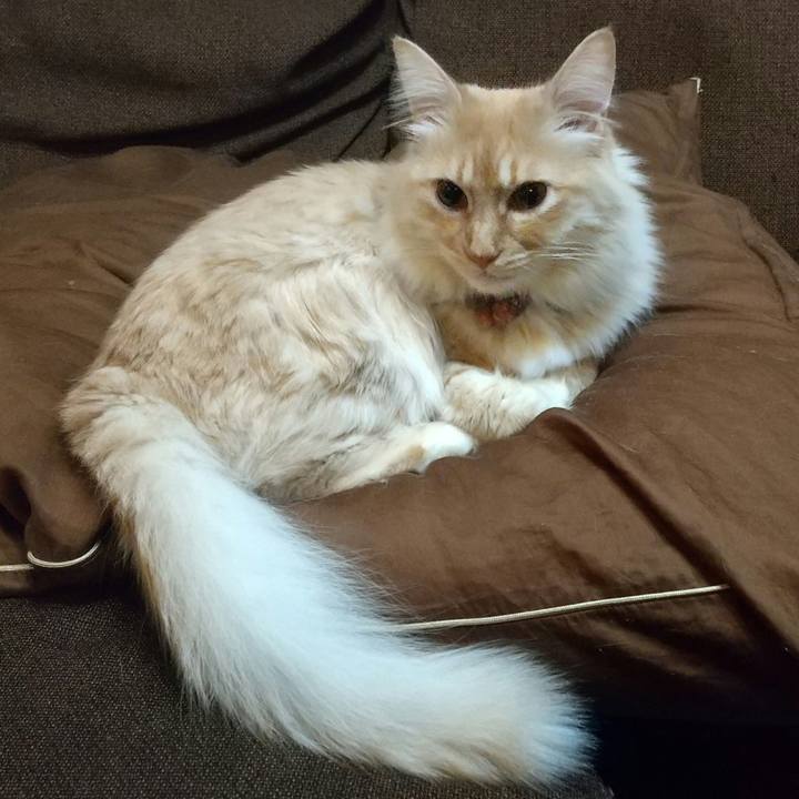 3622025f 377e 4355 8e75 072c32758a50 1646171510426