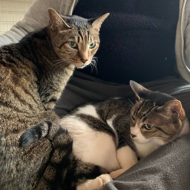 36223639 c363 4e0f b1dc d5e94c1f805c 1582332212649