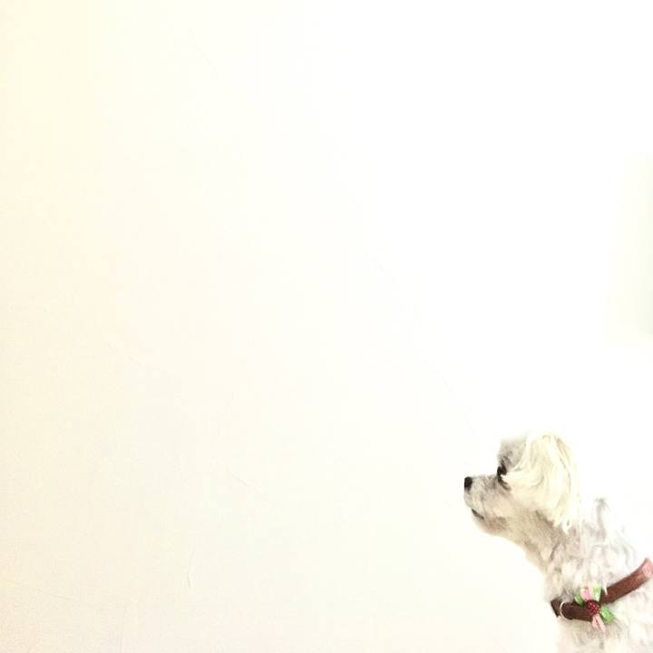 362252f2 965e 4584 a6da ef8142f1af3f 1596671022860