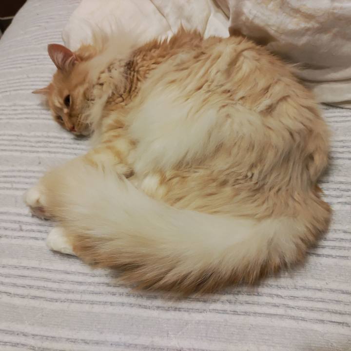 36227b56 410a 4f57 92a0 398cd971a8b0 1714822630261