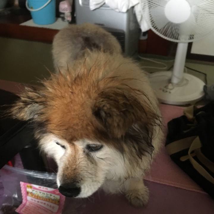 3622a3be a0ff 411b a1f4 4b168fb2a879 1593921086002