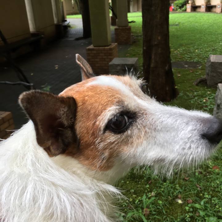 3622b858 2919 4cc0 ae9c 93990a124f5a 1628901447346