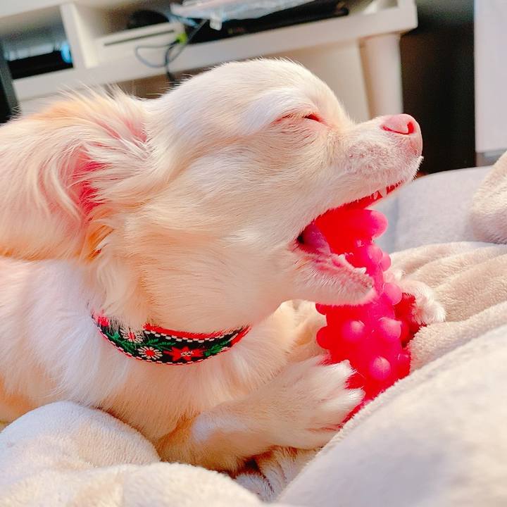 3622d9b4 0404 49e5 8c75 b6cd851c9ff4 1629239813146