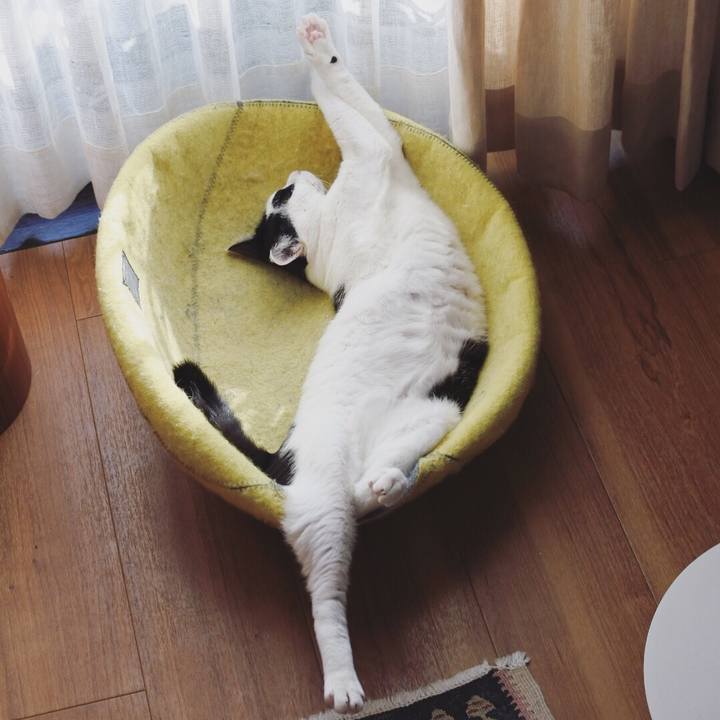 3622f5b6 d5aa 4e9c 974b 5403e476a81c 1561457998927