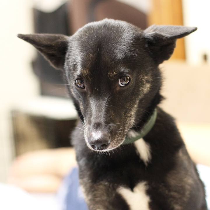 36234851 b82d 441d bec8 c6720b8c188e 1535429891778