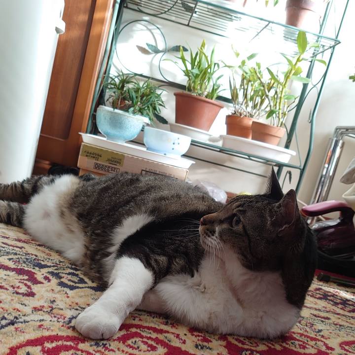 36234e0a 1285 40a6 8e59 6d30d0cfbe5f 1734842425682