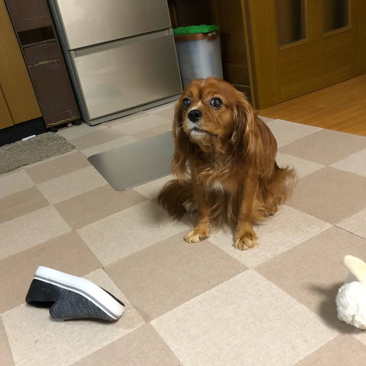 36235a77 0ded 460f bd13 29a31e5f3a26 1594994284472