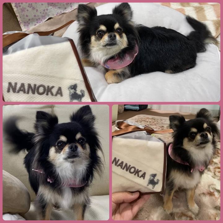 3623622d f74b 4b21 a943 98effc99f800 1649906352254