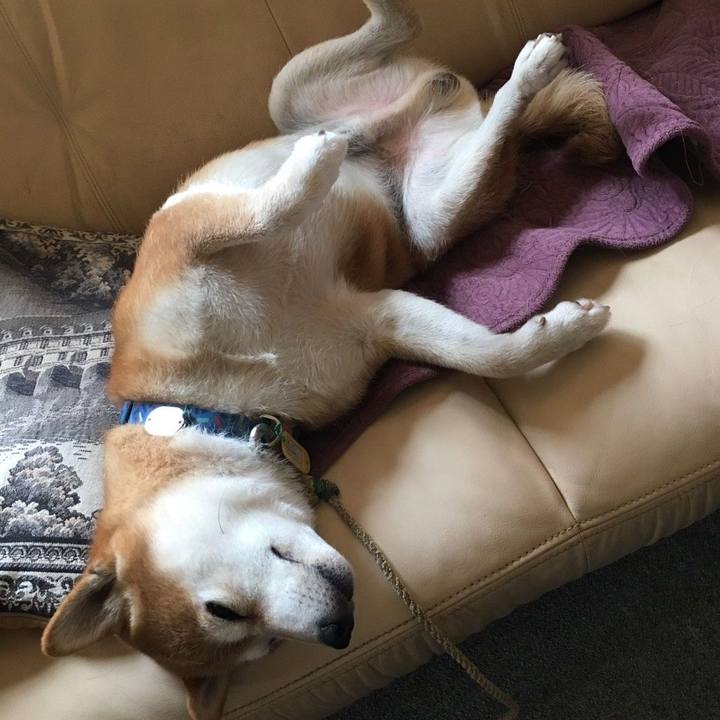 36243c62 c0fb 456f 939c 57a4cedfeff6 1565148235517