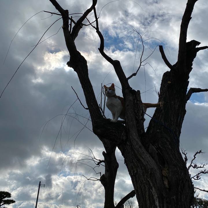 362456ab 0cf0 4831 bb7c b56ef5fb4911 1581242212902