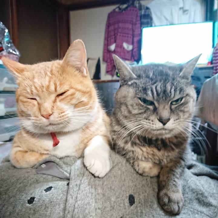 362469cd 9948 4319 b4d1 fd6bf42ecab3 1576021492585