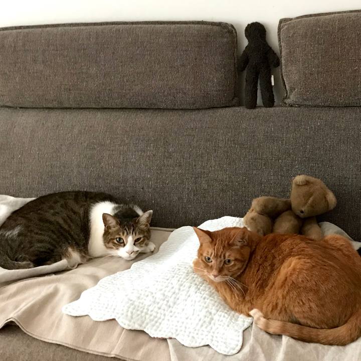 36248425 22df 4b5b bc7a 117f212533f6 1520749100296