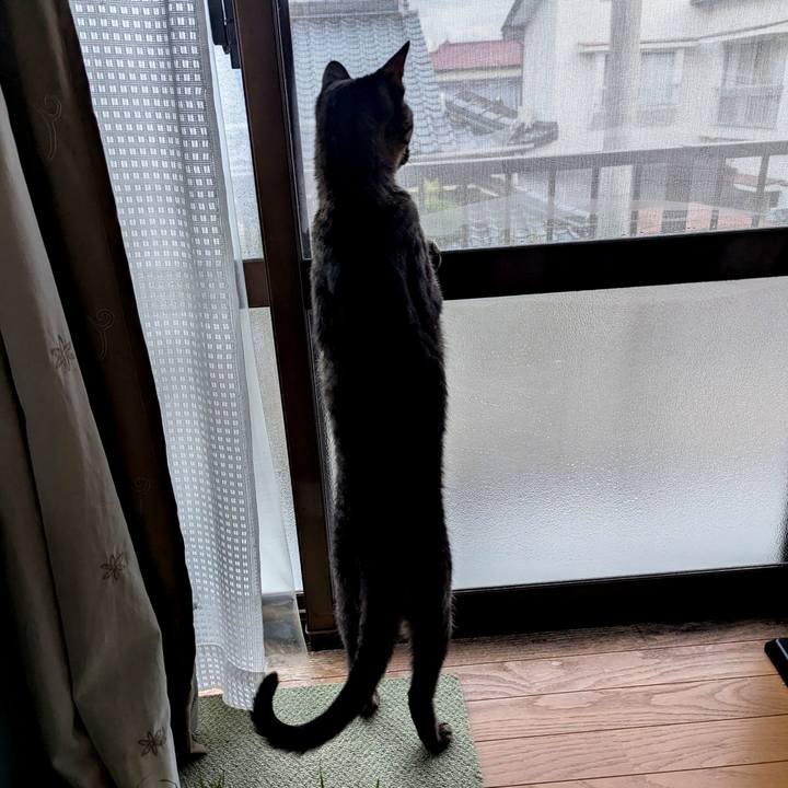 36248d85 d9e7 4d50 a89c d659ba2a4a33 1765343922736