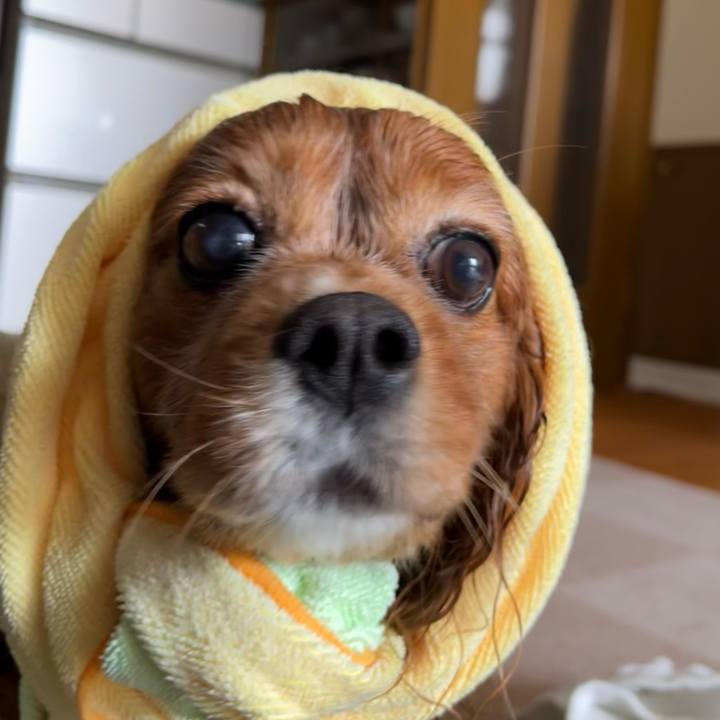 3624c31f 5826 444f b7d5 fdddaf07a6d0 1717203738879