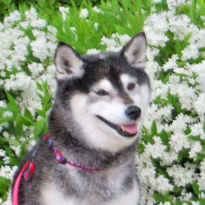 3624c700 2192 49ea 8c34 7befe3181073 1716011589901