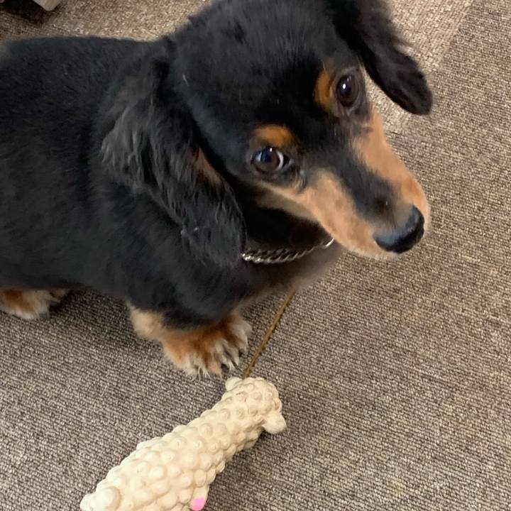 3624d468 ac78 4d84 a085 e28c056c69c0 1563486400980