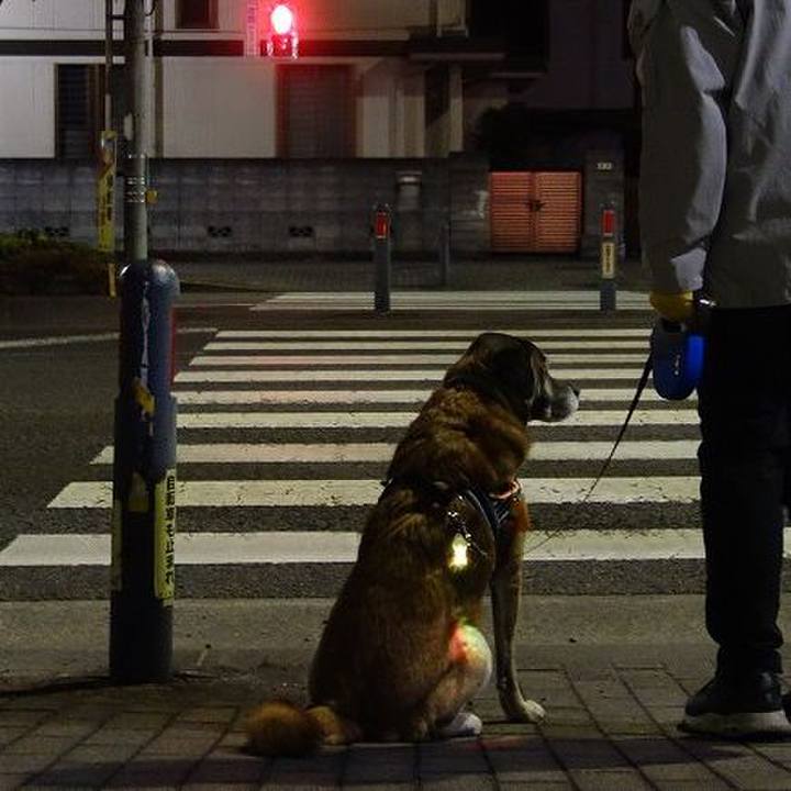 3624f3e7 df47 4550 9646 c01ed905b065 1514803201211