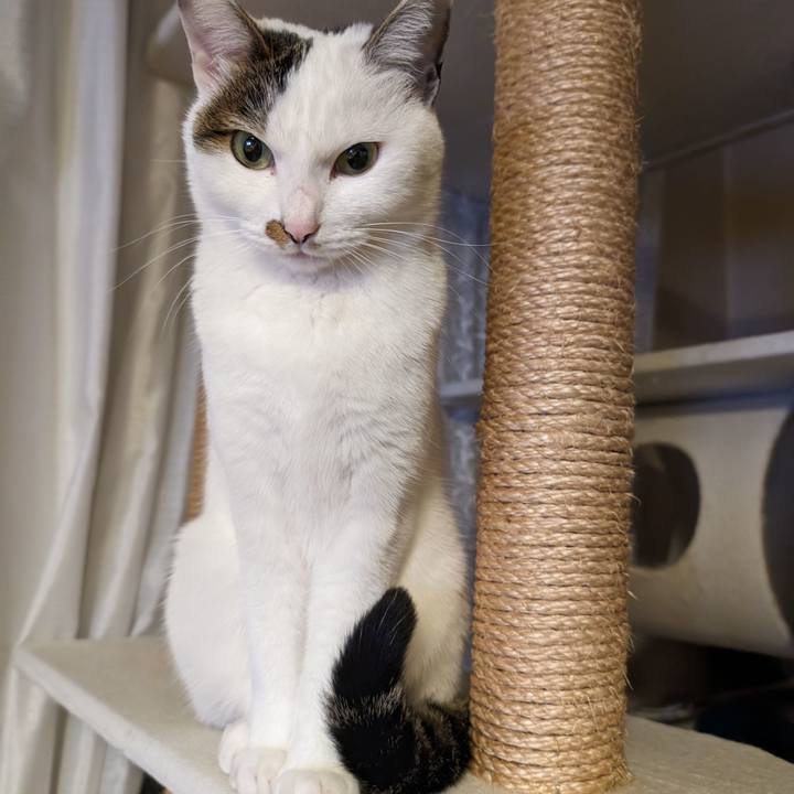 3625176f e211 4b4a bb9f b9434822079f 1705588561956