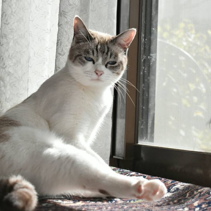 36251ec0 65bd 4b6e b707 7fbd42c2eec6 1510711854427