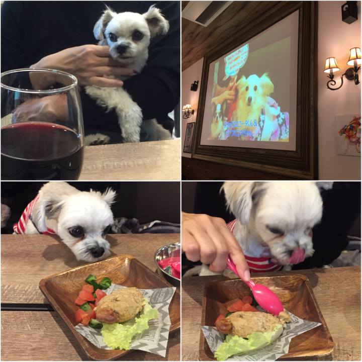 3625369b d996 4237 b982 0c5045582162 1544266303926