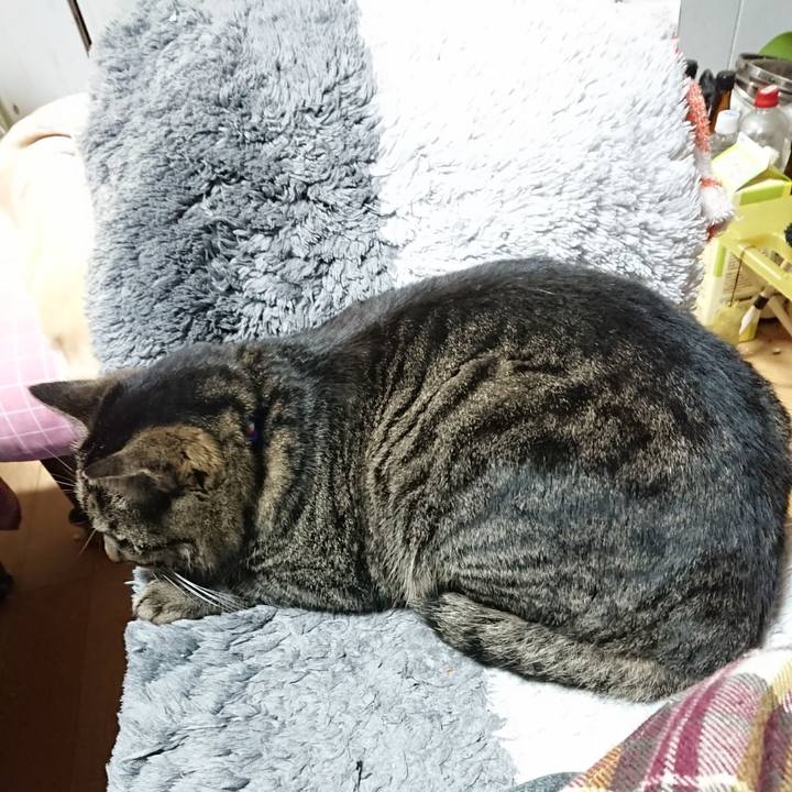 36254b42 13f7 44f0 89f5 52ff7a77a2ca 1641122787983