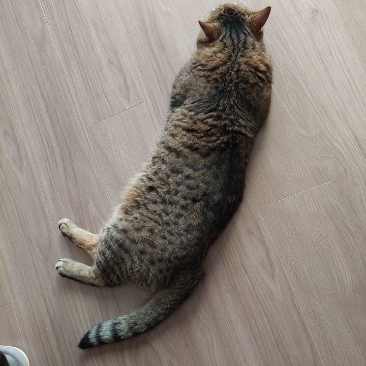 36255698 970e 482d 9e2f 7274530ff974 1642632948469