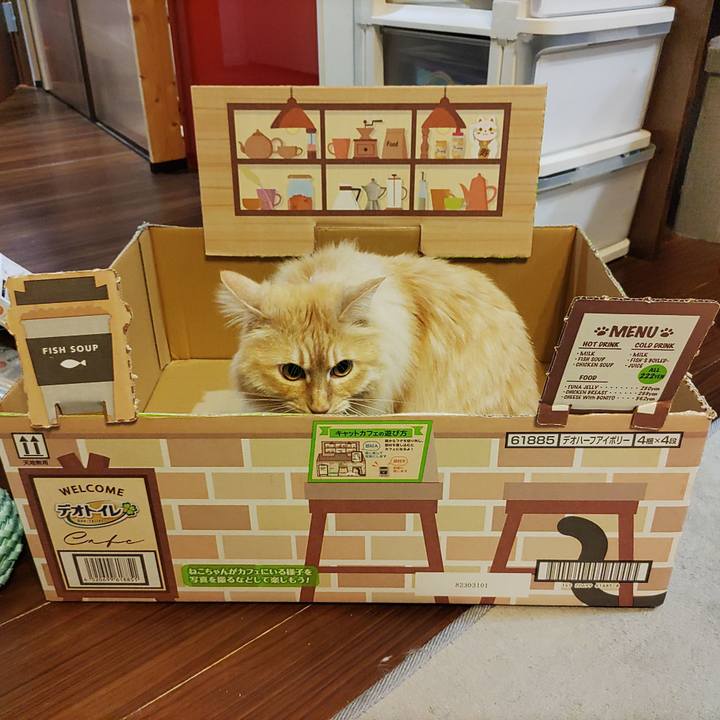 36257f58 b7ee 4cde 9847 0410ff9b93b1 1684676937520