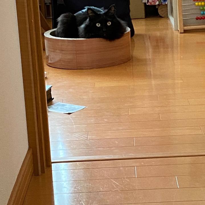 3625a742 187f 4391 80f1 36a993434641 1583377261187