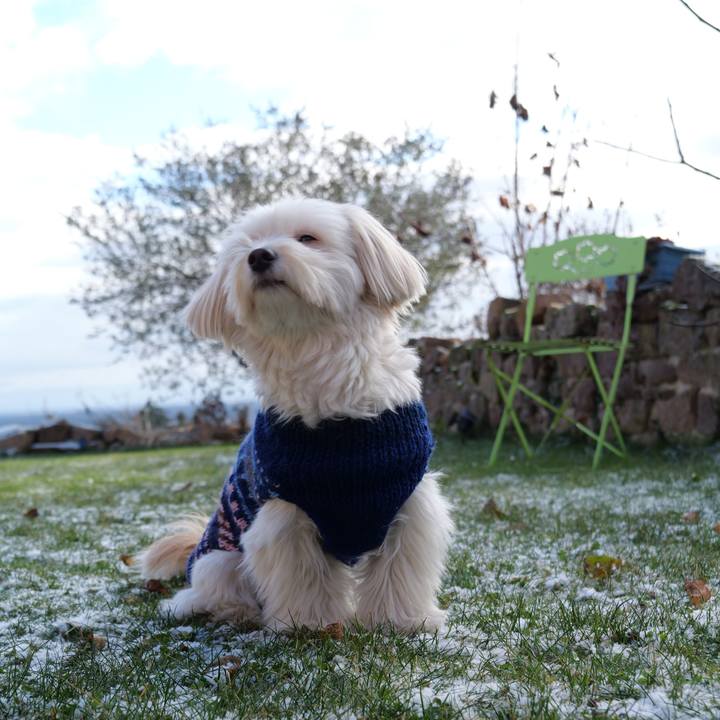 3625cc62 3d46 4d0a 99cc 4915f823d64e 1767389768427