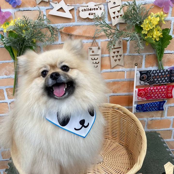 3625da18 34ee 421e 8435 9f00704cb03b 1683286245338