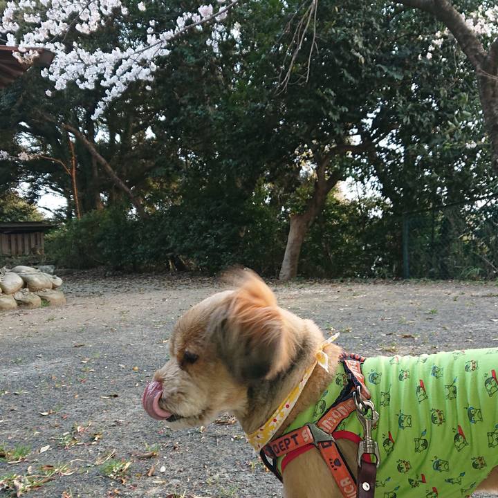 362605a5 21bd 4979 9279 538c9b281b2e 1553947442764