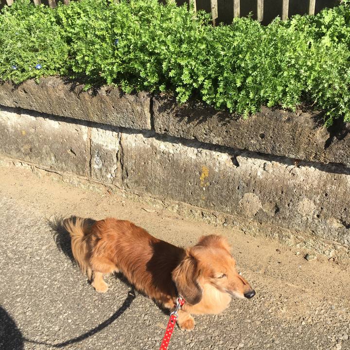 36261526 faa1 460a a208 cce175e0f531 1615384041262