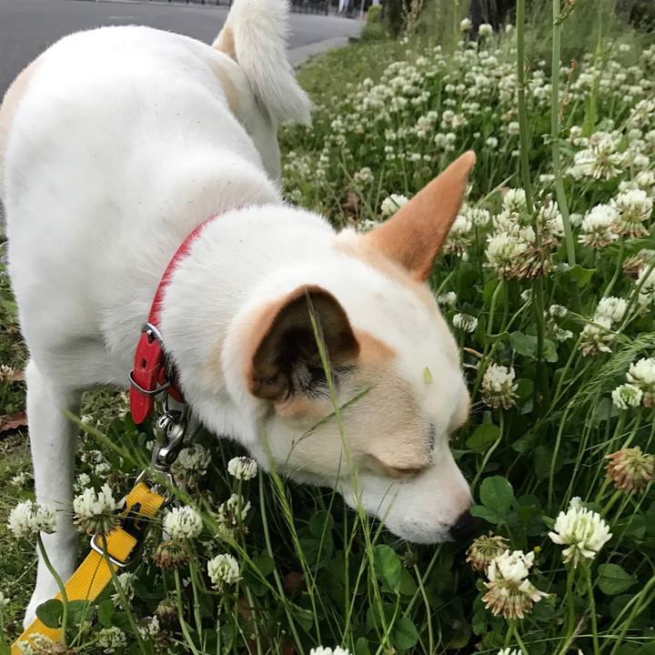 362618ed 4cd0 46dd 852d 511a7a2c9846 1525555337604