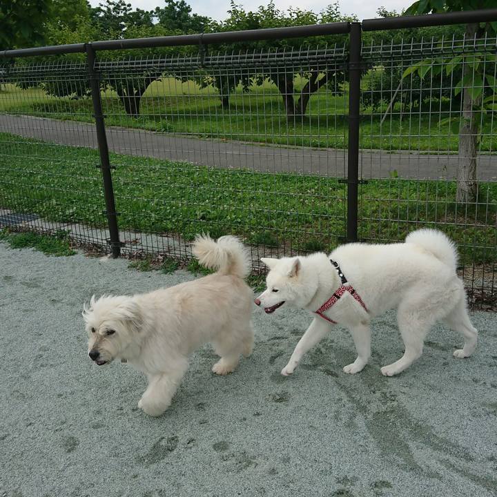 362625ae 5068 4c0c bbcc f87b2a3b9eba 1561185500679