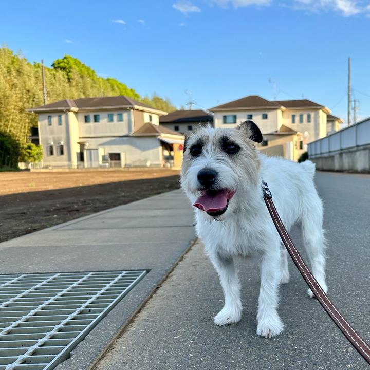 36263b90 fe54 487d bbd6 509727e7090b 1745979572365