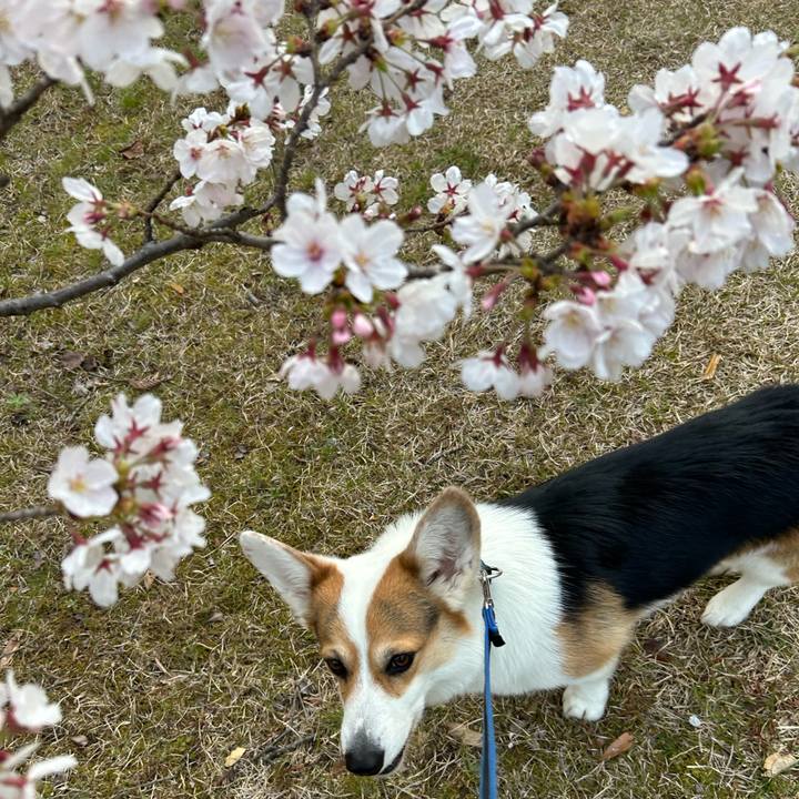 36269e83 5aa1 4381 a9d7 bac681230c20 1774793144704