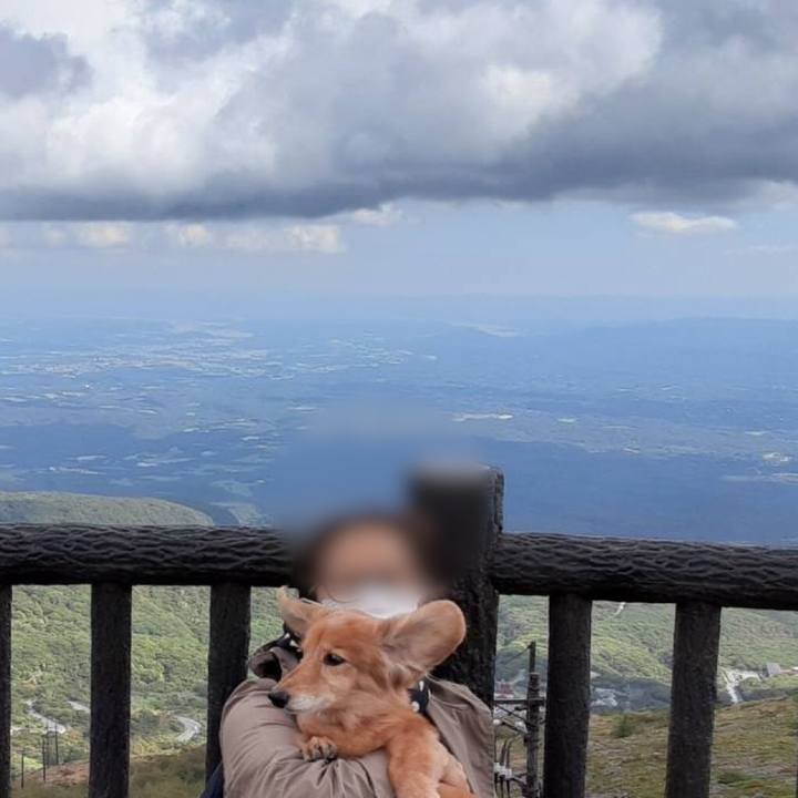 3626b3fb 64a5 4758 a7cd 9648bef536f3 1633176574160