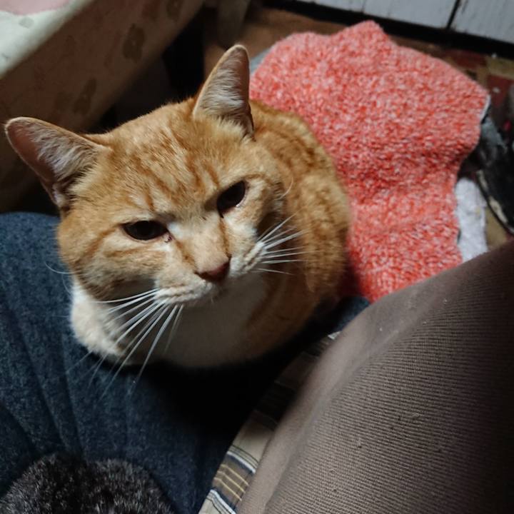 3626b8d4 82b0 46fc b206 7f06931356fb 1581021775278