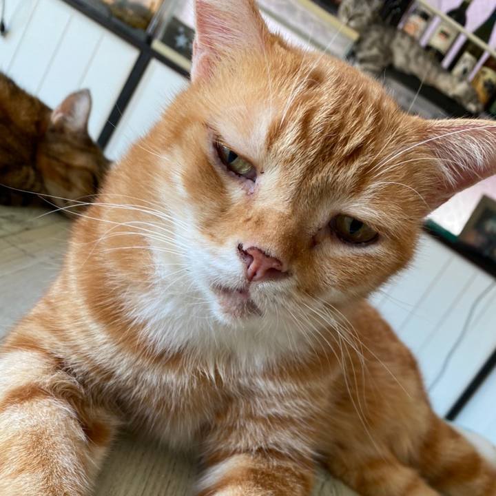 3626bdb3 7c07 464c a38a 329430c39ded 1599624641433