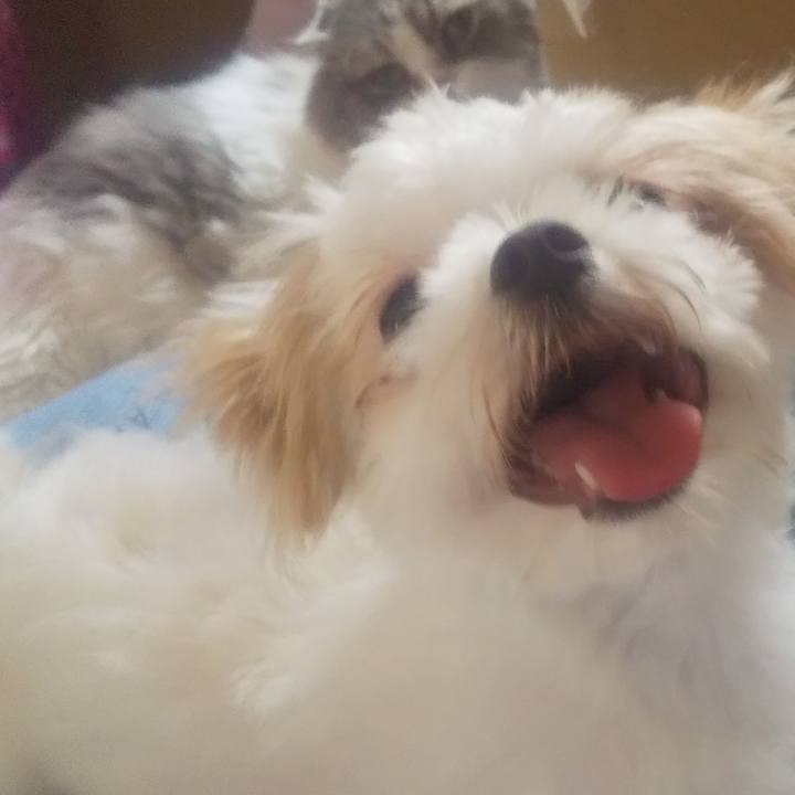 3626c214 f4f0 4364 932d 4b112a8f96a3 1688373717023