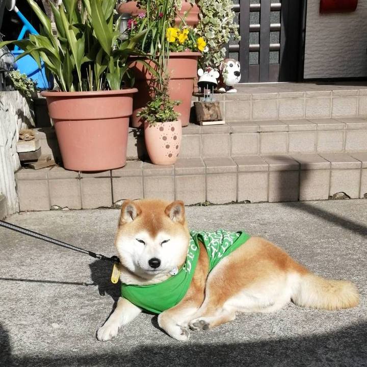 3626f008 18b1 49fc 949a c8ca0e7dbd71 1587283392873