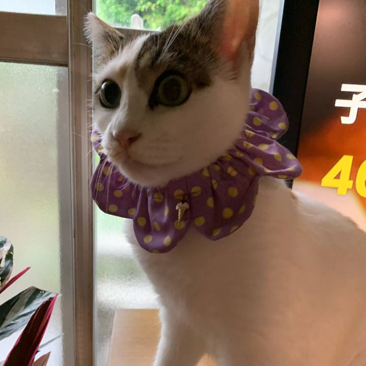 36271812 36db 4ab8 a5a2 0fd40b9f9117 1660721152016